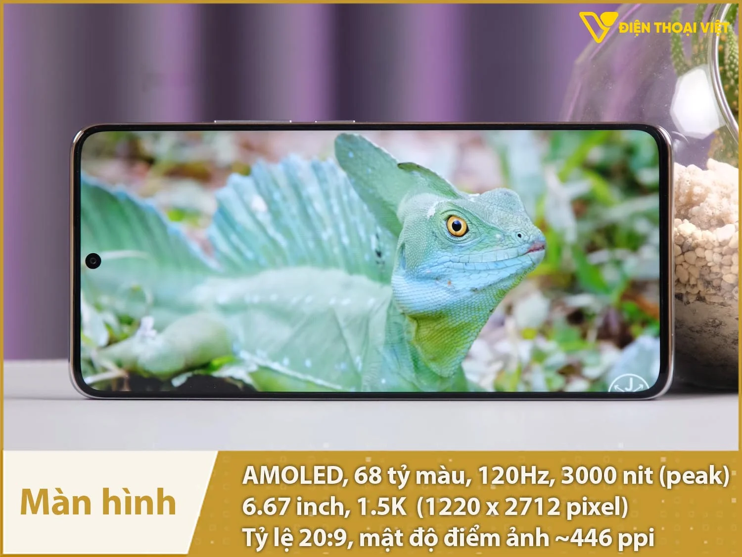 Màn hình AMOLED 120Hz, 6,67 inch độ phân giải 1.5K, độ sáng cao 3000nit