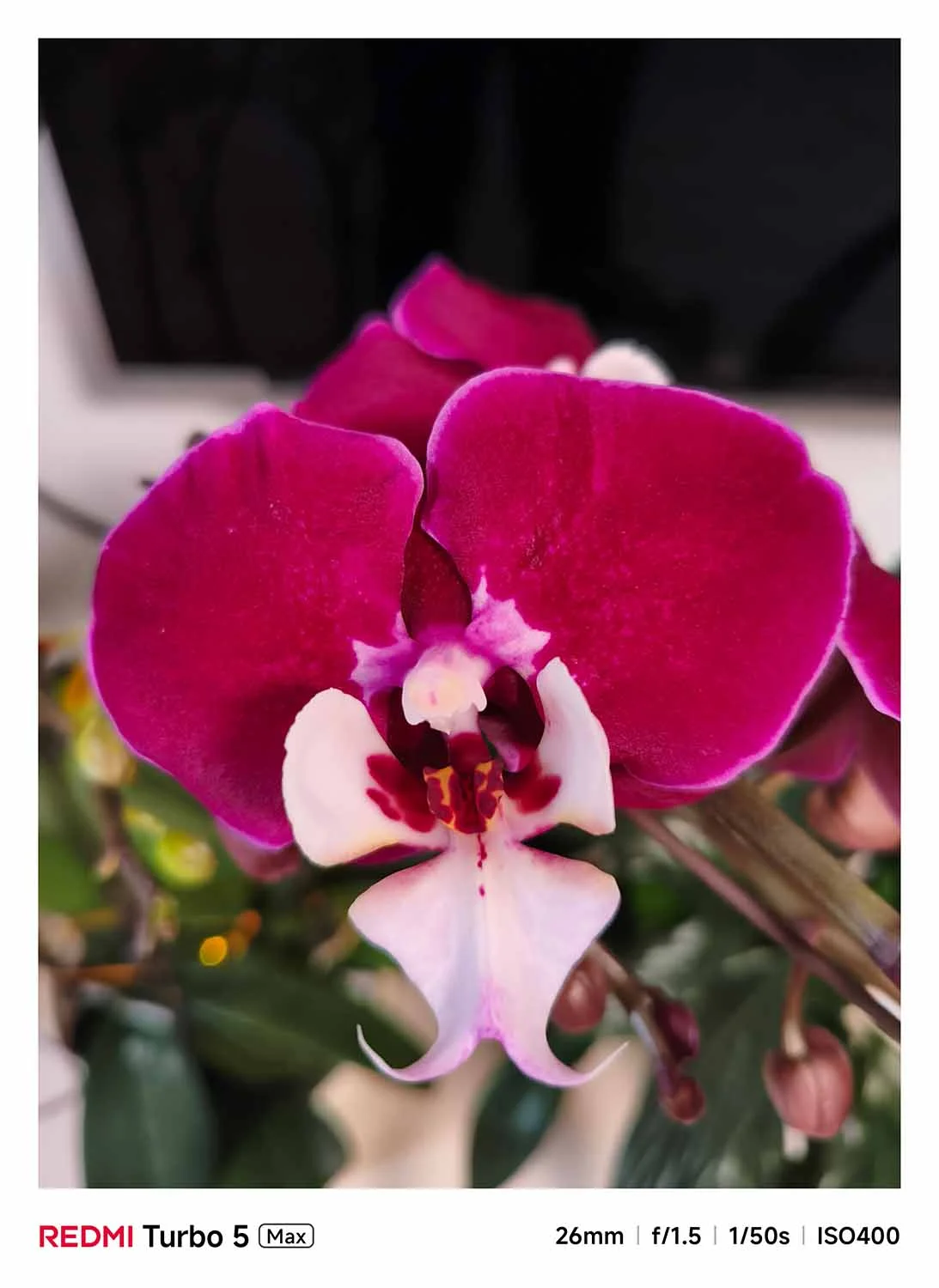 Ảnh chụp cận cảnh