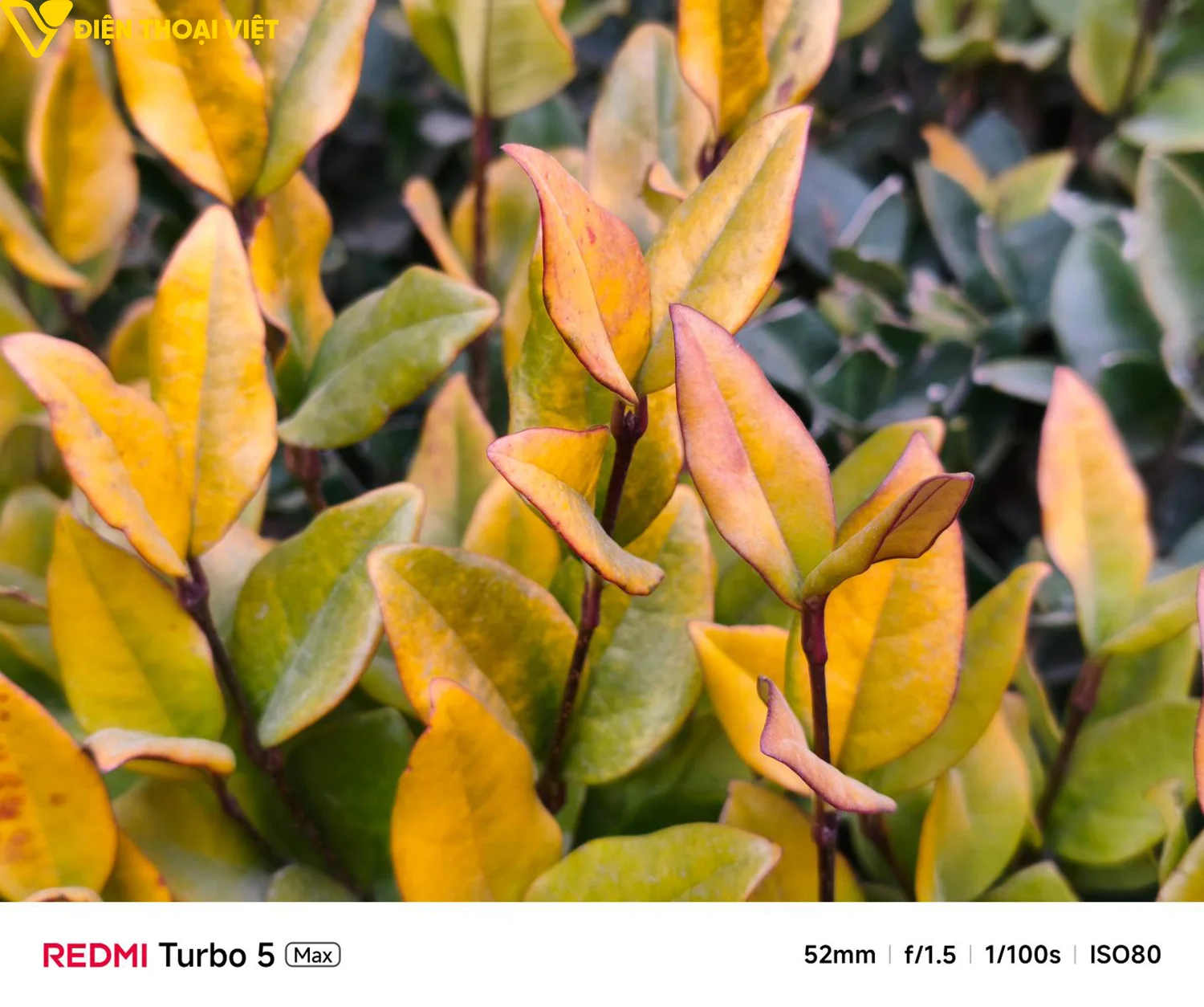 redmi-turbo-5-max-anh-chup-1