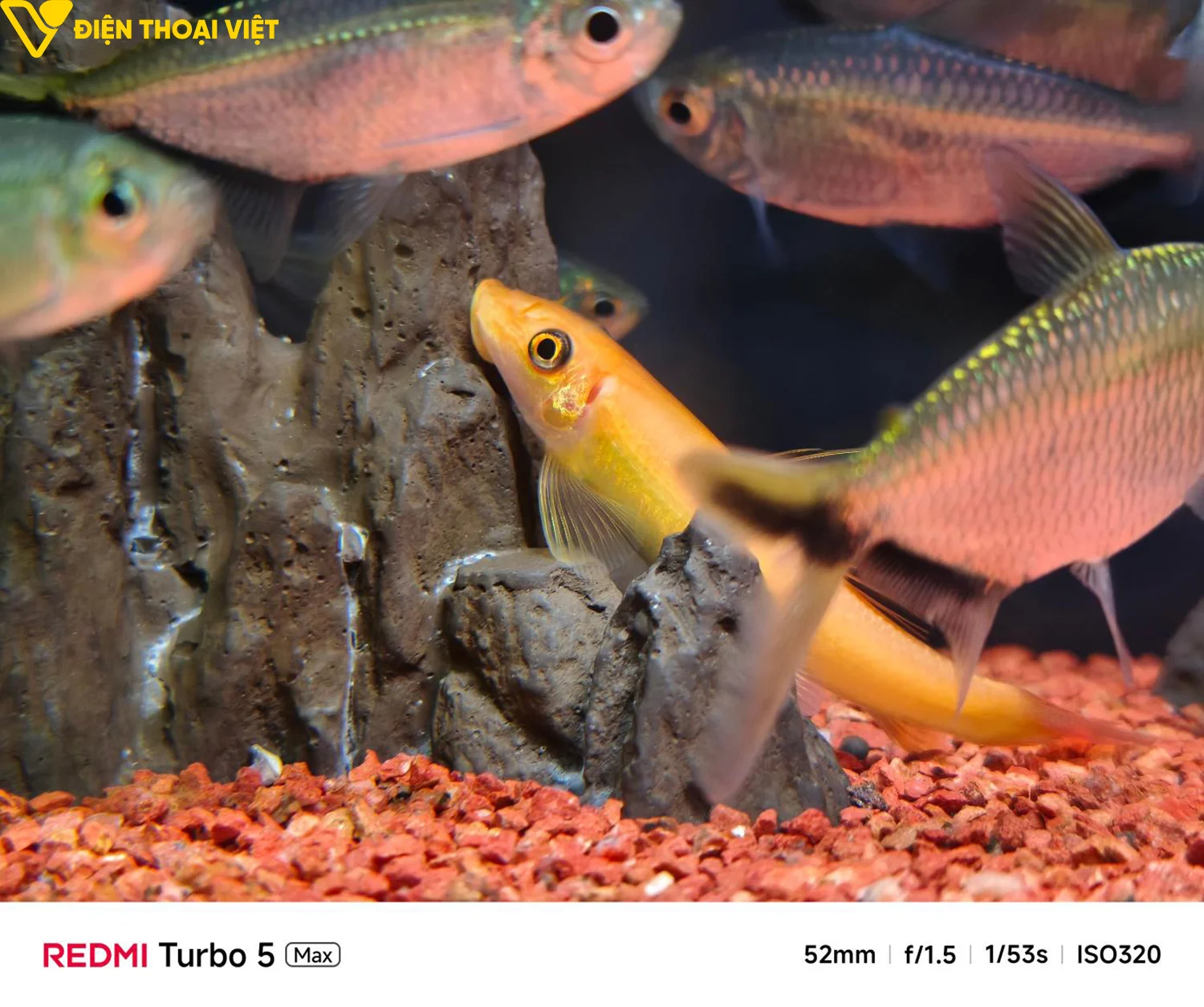 redmi-turbo-5-max-anh-chup-2