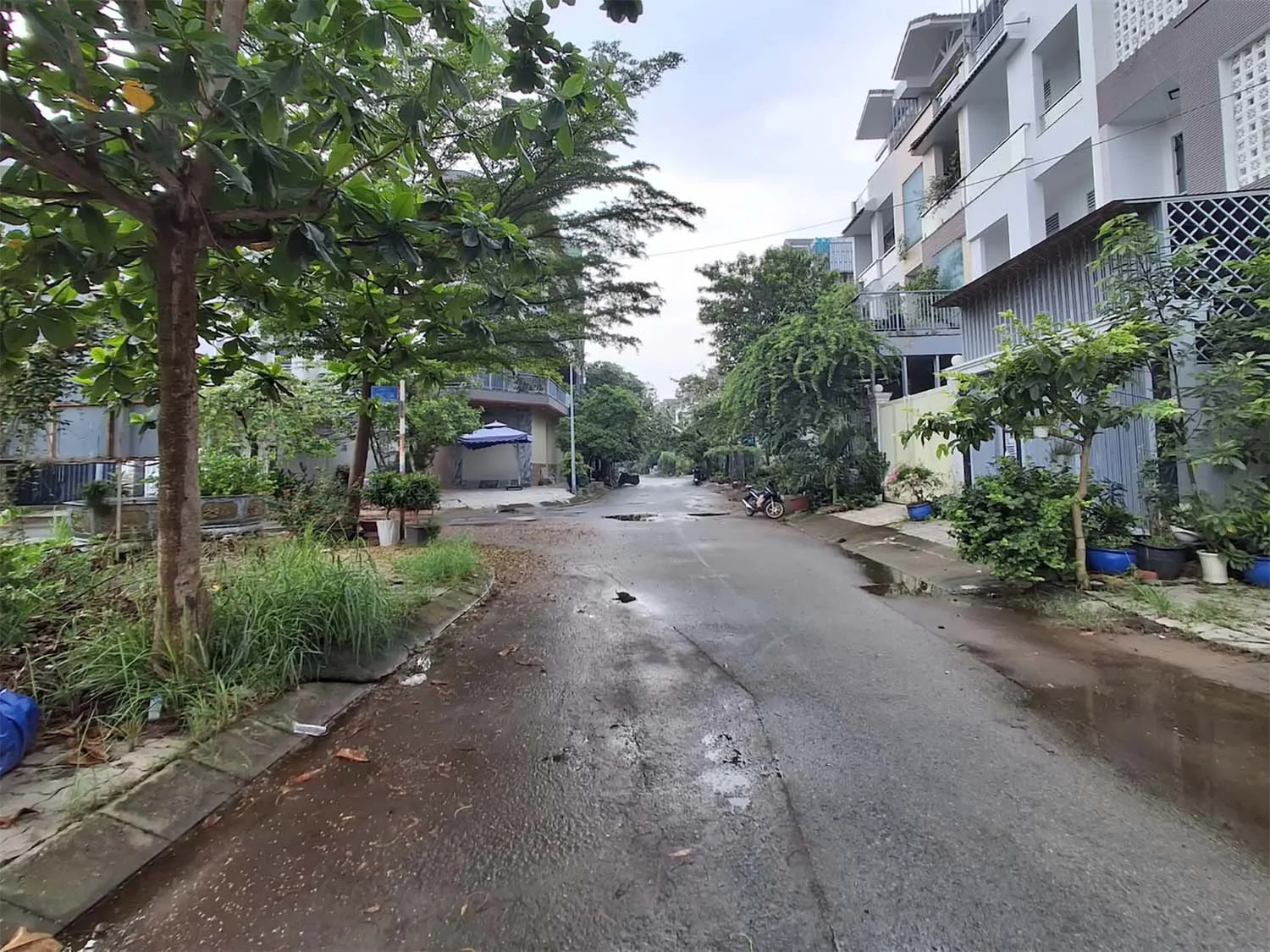 Ảnh phong cảnh 1x