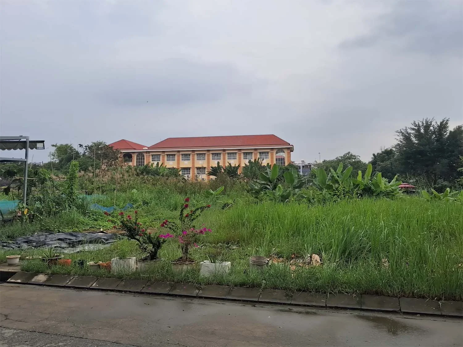 Ảnh phong cảnh đủ sáng 1