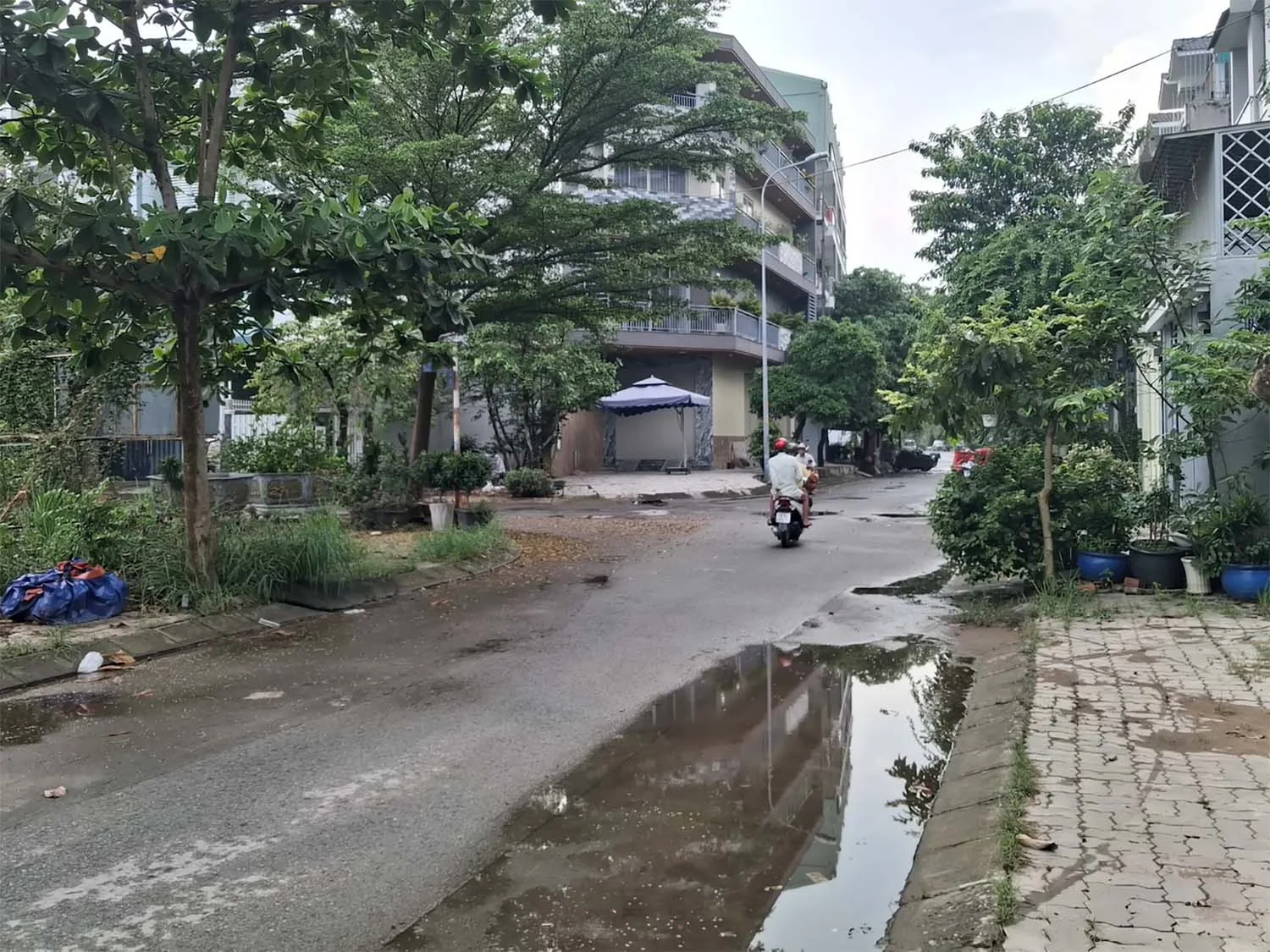 Ảnh phong cảnh đủ sáng