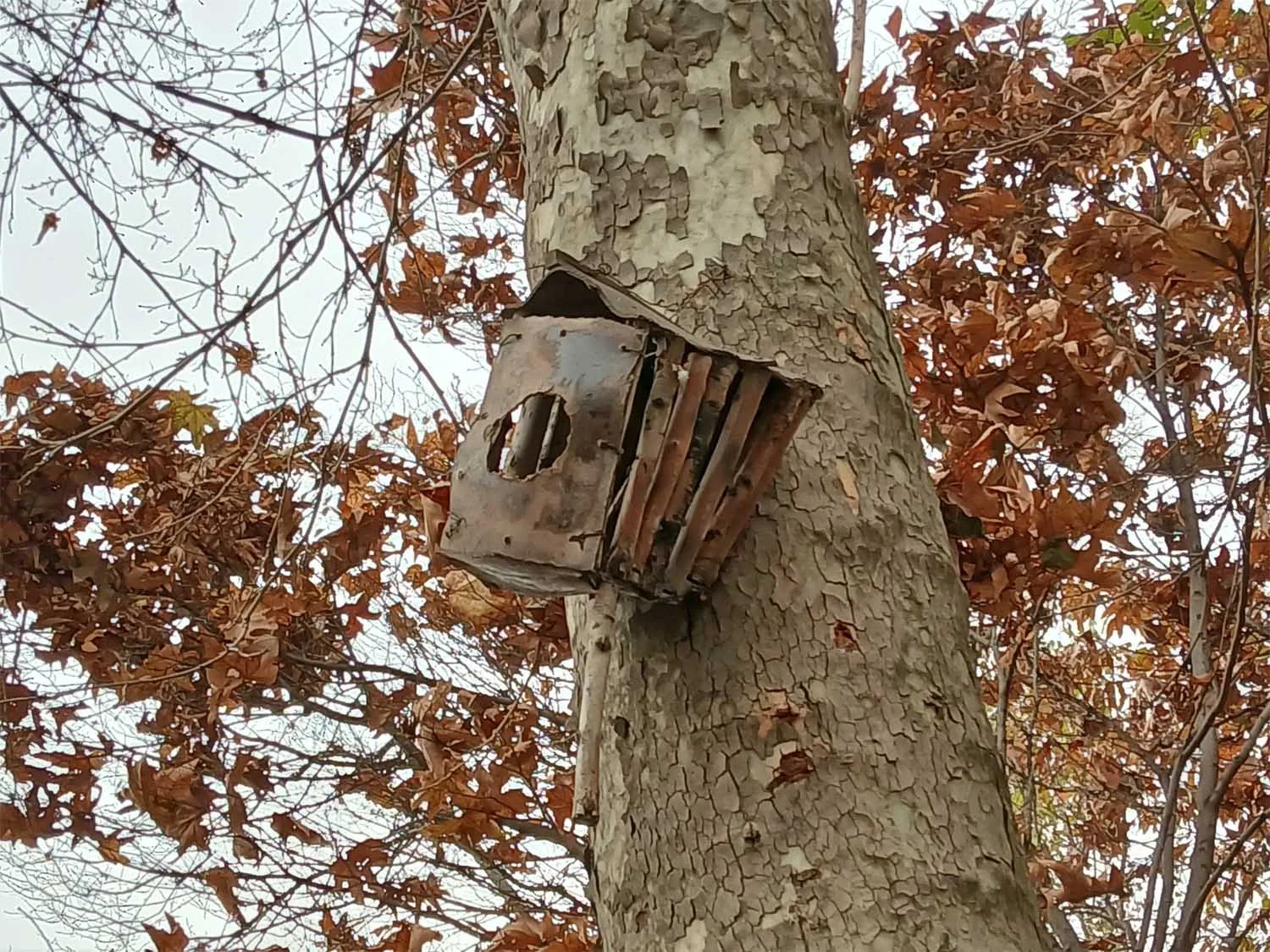 Ảnh zoom kỹ thuật số 2x