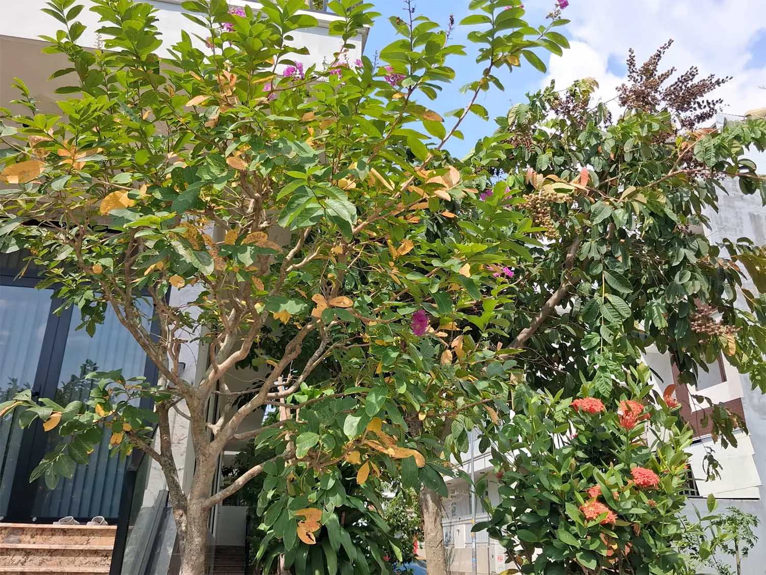 Ảnh đủ sáng 1x