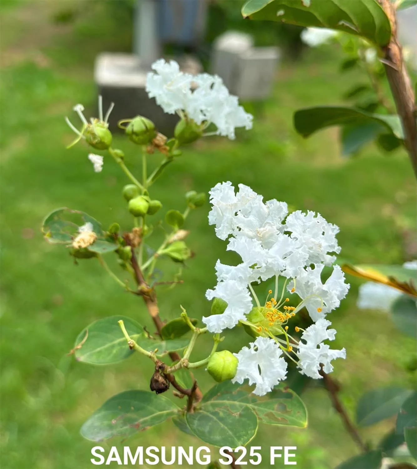 Ảnh chụp cận cảnh