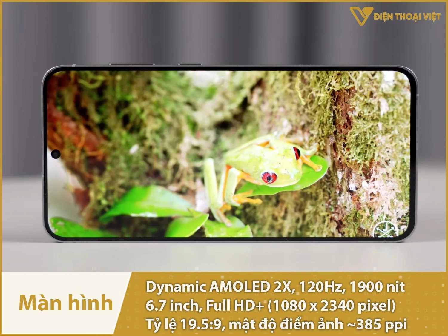 Màn hình lớn AMOLED 2X 6,7 inch 120Hz hiển thị xuất sắc