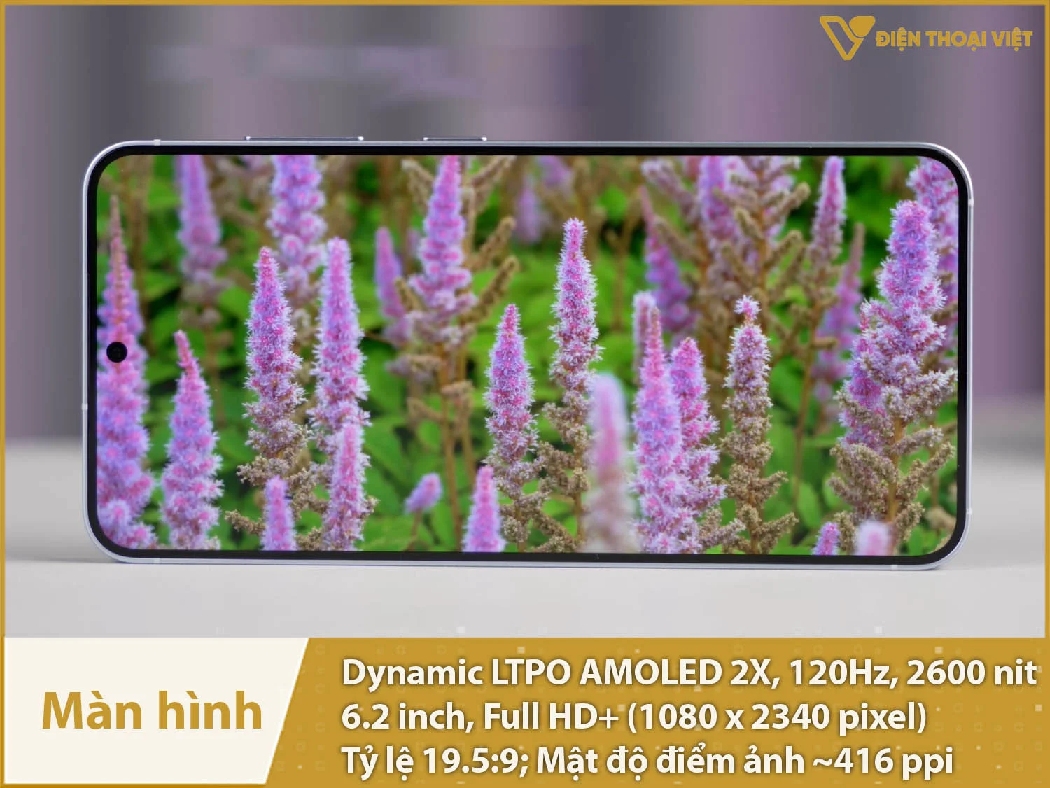 Màn hình 6,2 inch Full HD+, Dynamic LTPO AMOLED 2X 120Hz