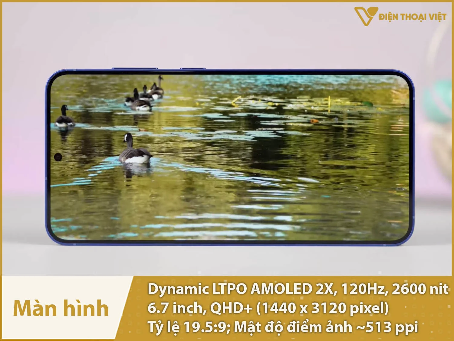 Màn hình 6,7 inch 2K, Dynamic LTPO AMOLED 2X, 120Hz