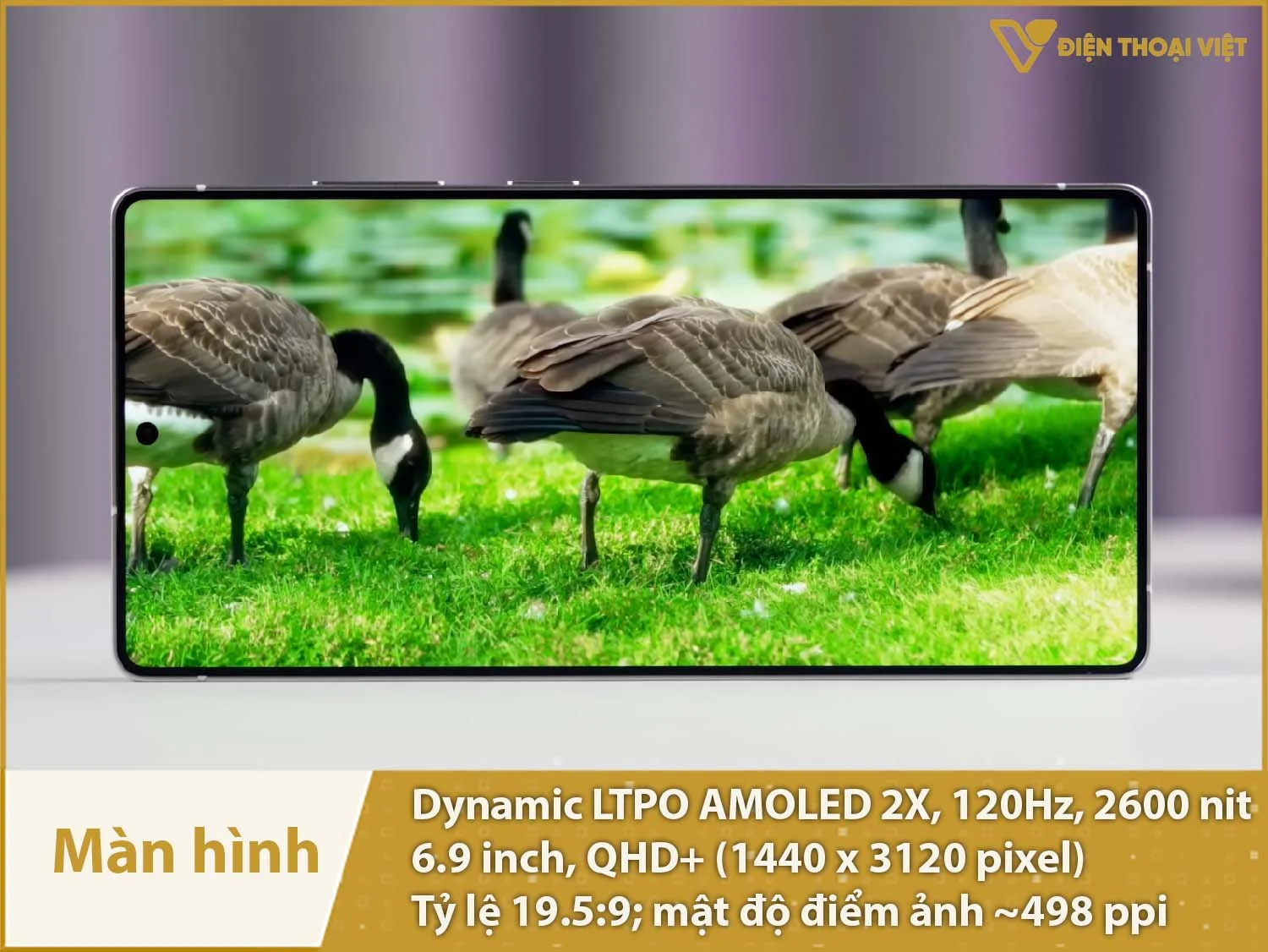 Màn hình LTPO AMOLED 2X, 6,9 inch QHD+, độ sáng cao