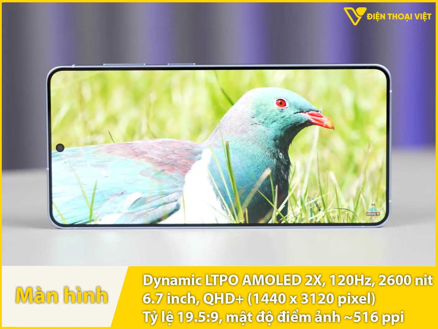 Dynamic LTPO AMOLED 2X 6,3 inch - 120Hz - 2600 nit