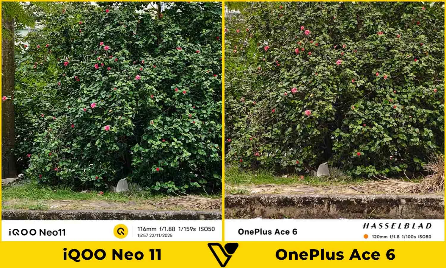 So sánh ảnh chụp thực tế iQOO Neo 11 vs OnePlus Ace 6