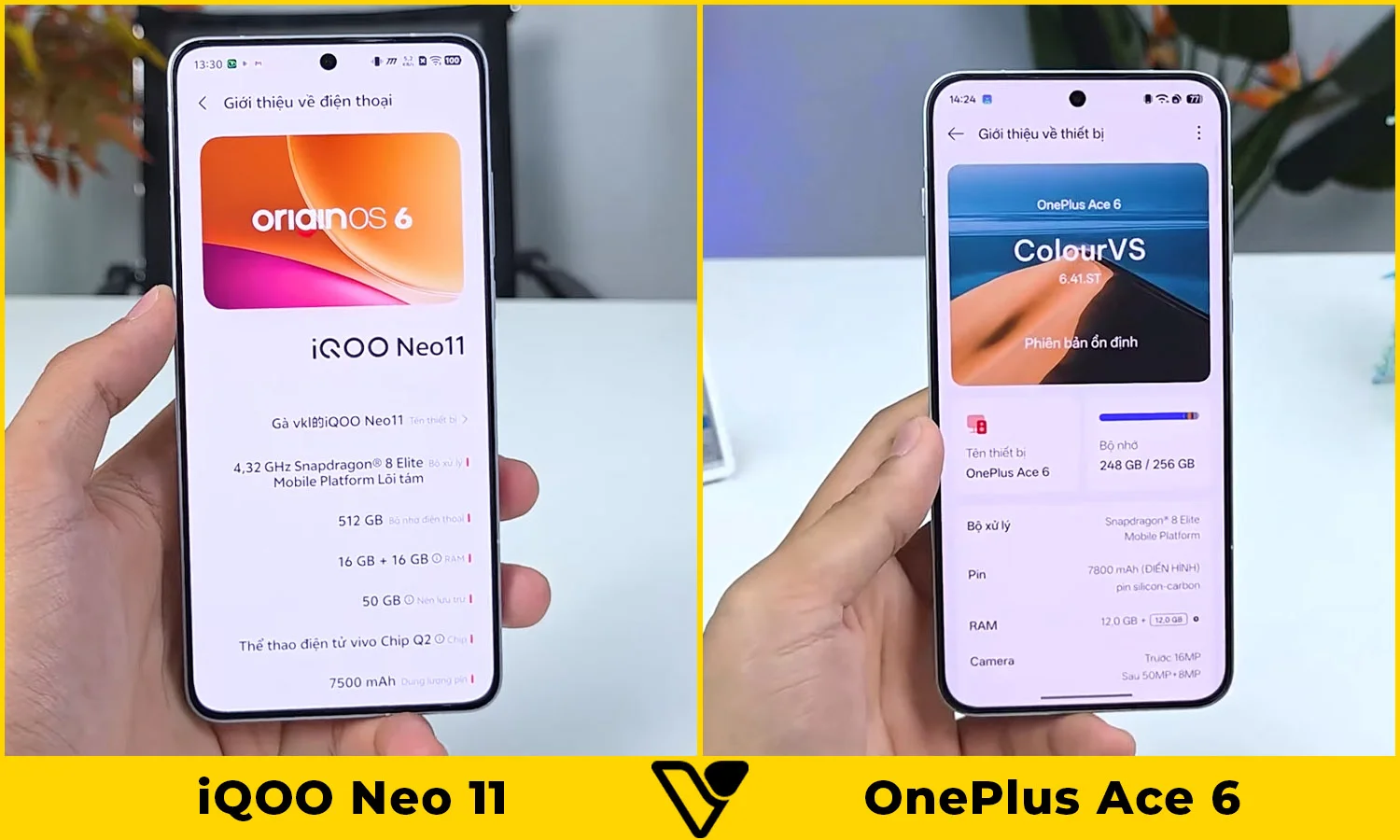 So sánh màn hình iQOO Neo 11 vs OnePlus Ace 6