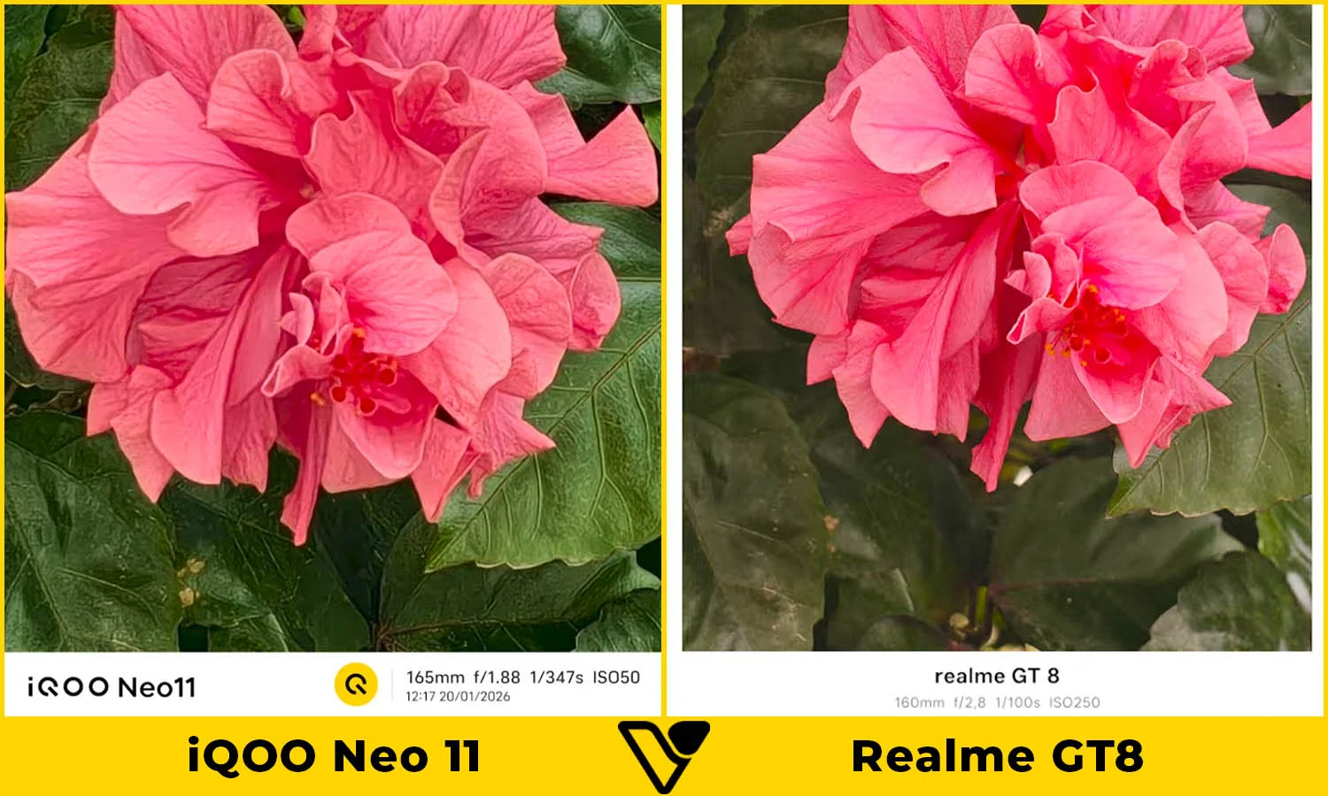 So sánh ảnh chụp cận cảnh giữa iQOO Neo 11 vs Realme GT8