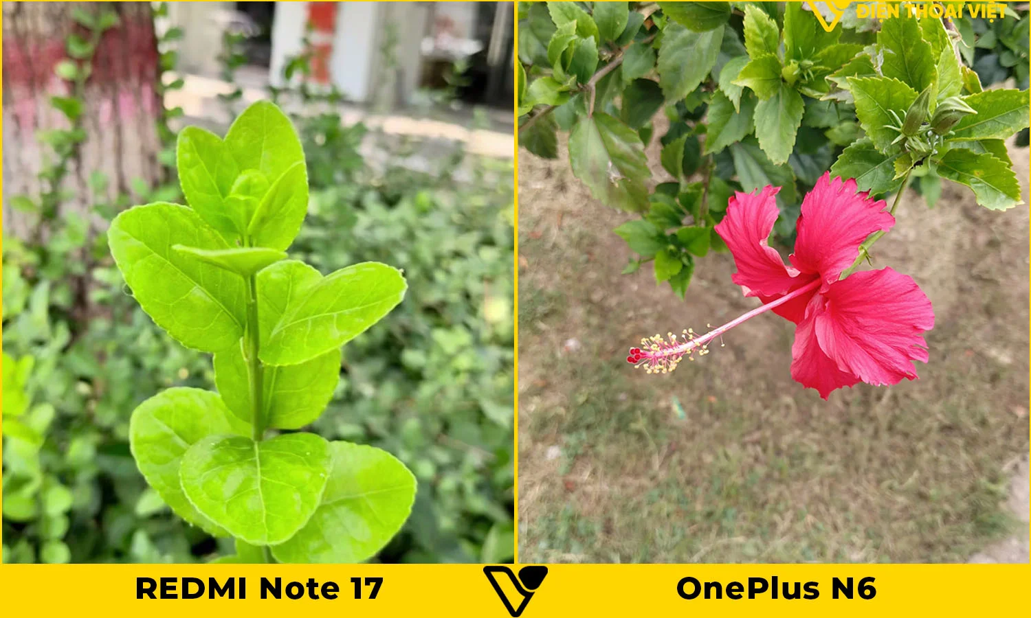 So sánh ảnh chụp cận cảnh