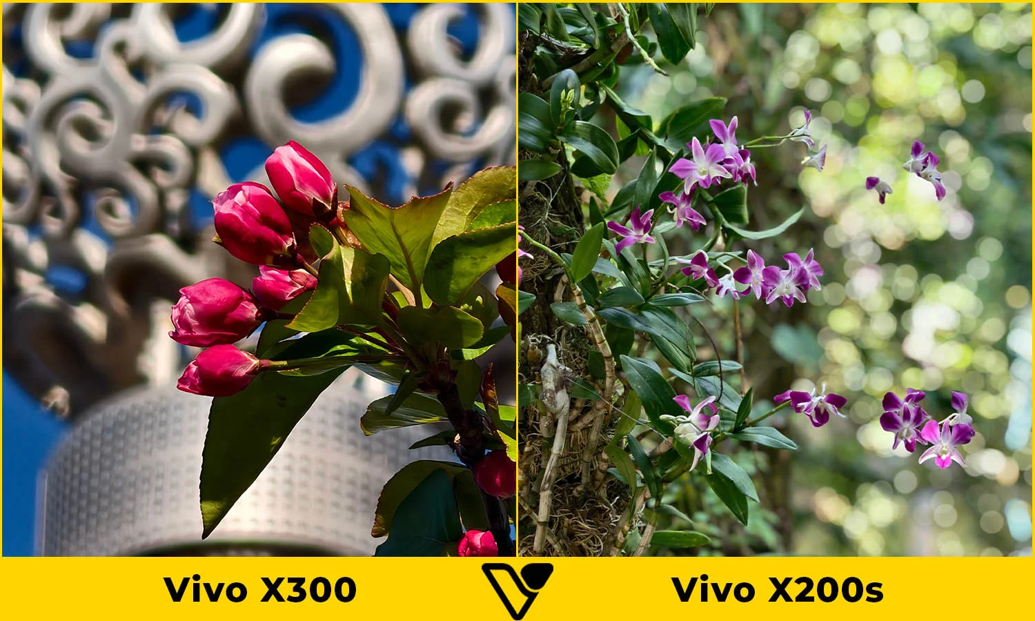 So sánh ảnh chụp tele Vivo X300 vs Vivo X200s