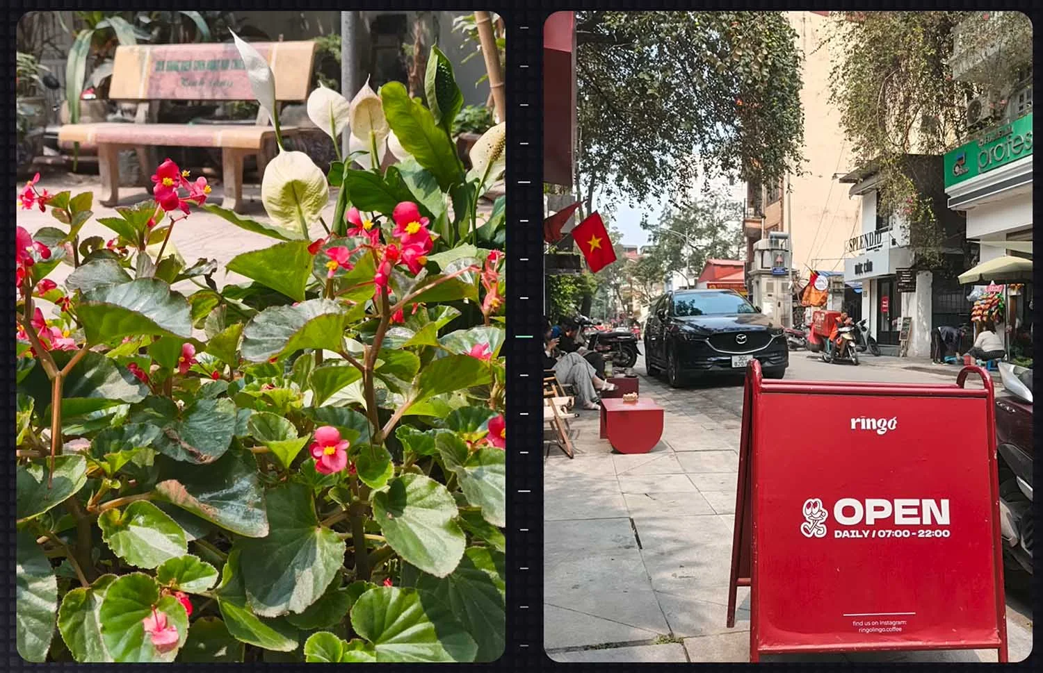 Ảnh chụp cận cảnh