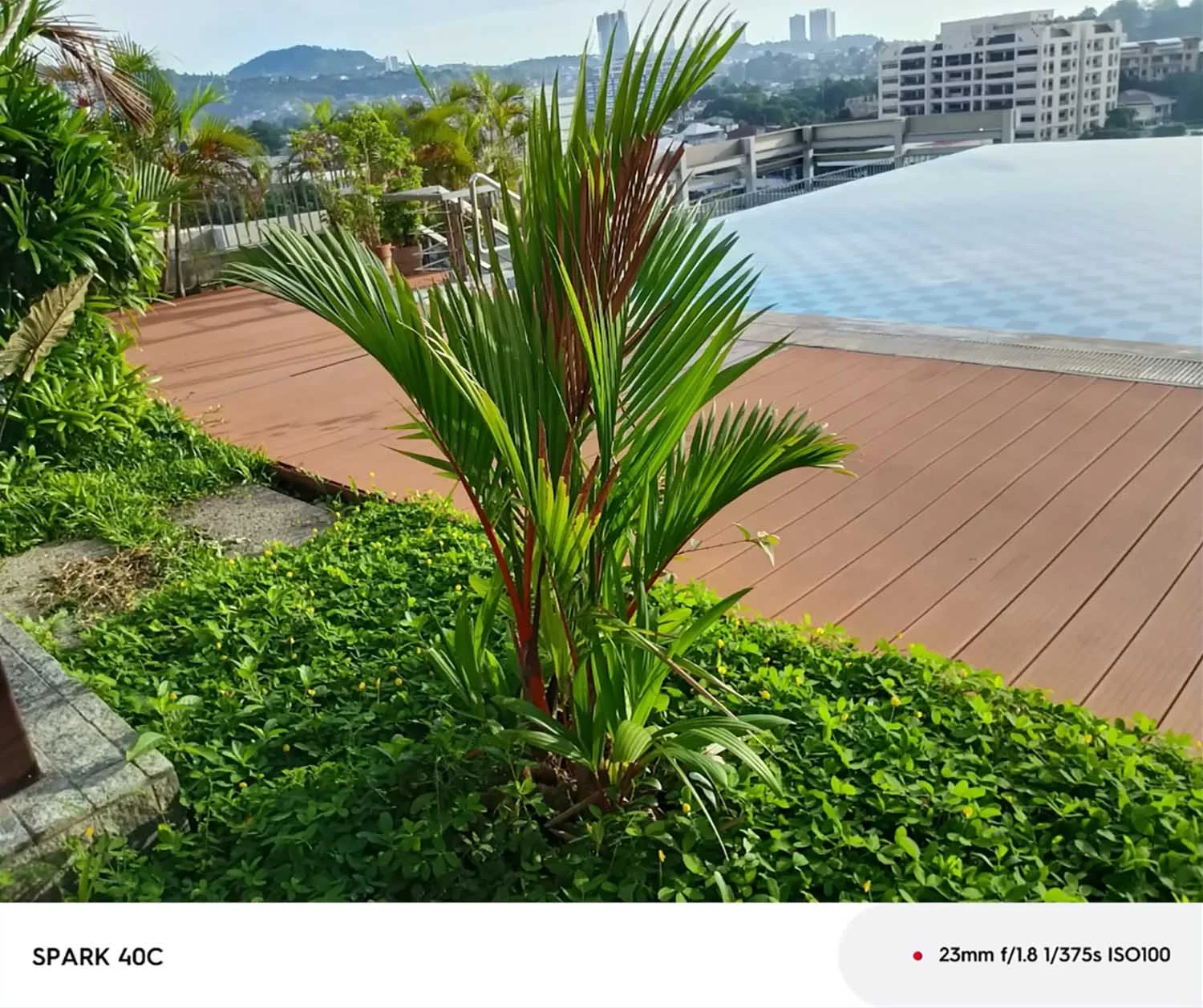 Ảnh xóa phông zoom kỹ thuật số