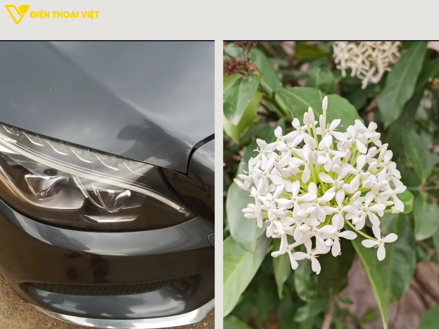 Chất lượng hình ảnh chụp 1x 