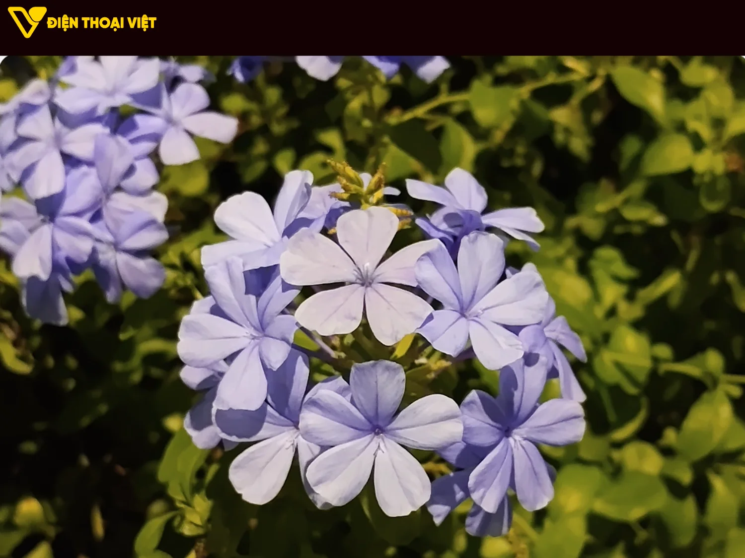 thiet-ke-chua-co-ten-53