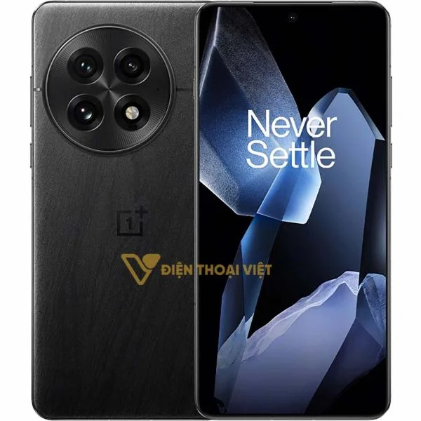 oneplus-13-den