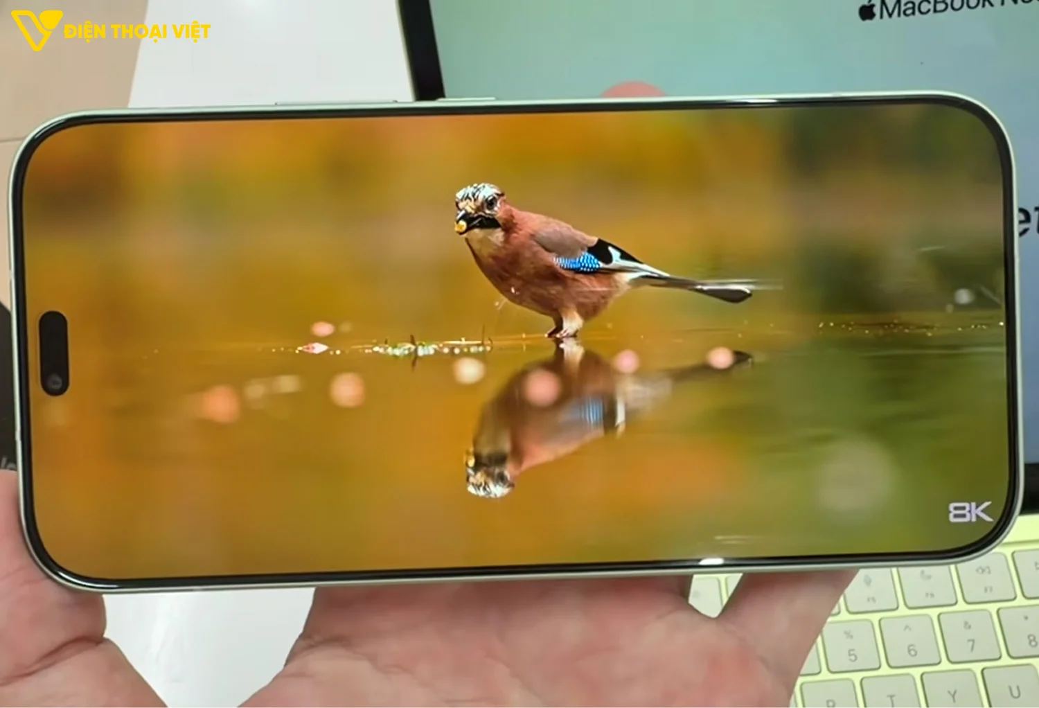 Màn hình AMOLED 6.6" 1.5K 120Hz Honor 600 Lite