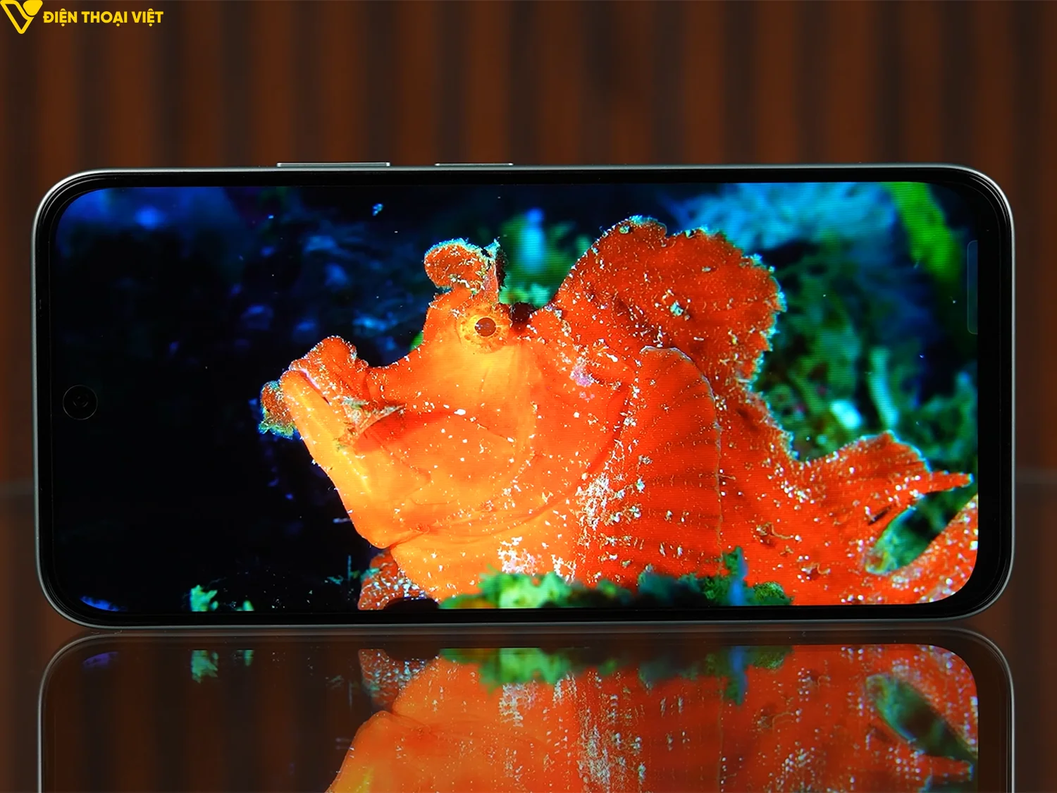 Màn hình LCD 120Hz 1.200 nits