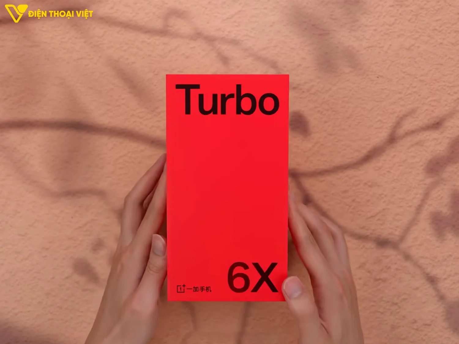 Hộp đựng OnePlus Turbo 6X