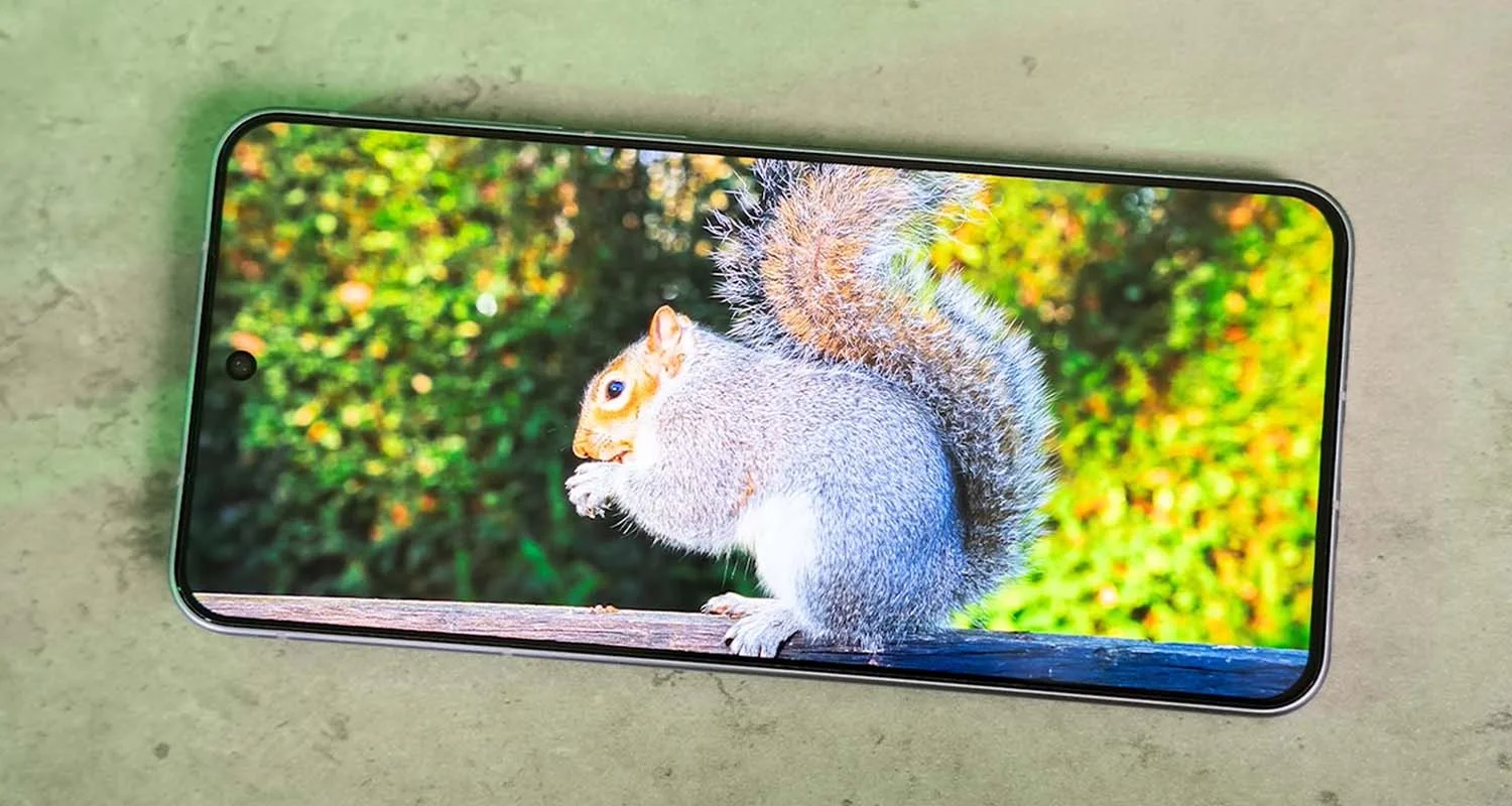 Màn hình Vivo X200s