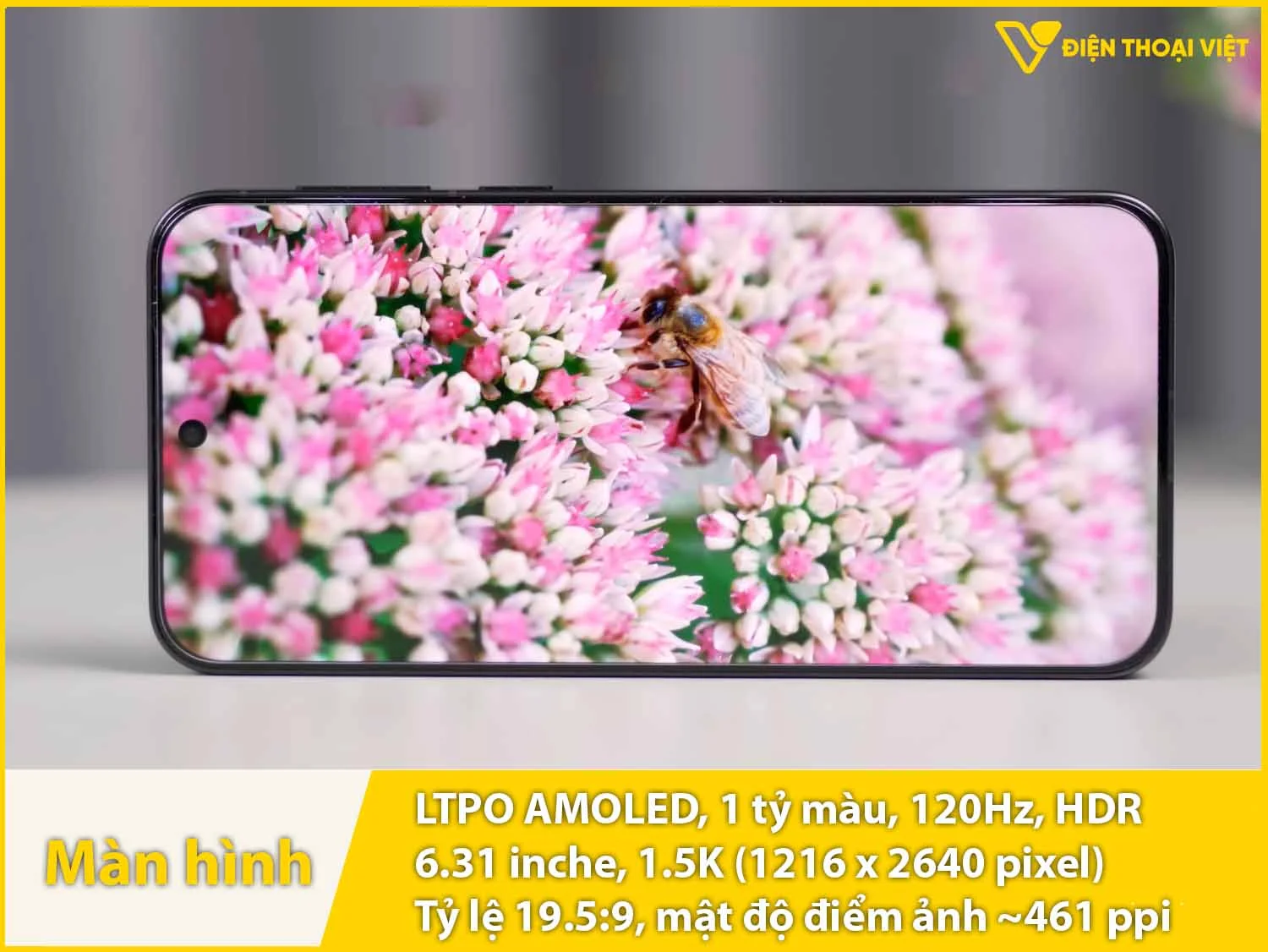 Màn hình LTPO AMOLED 120Hz, 6,31 inch 1.5K xuất sắc