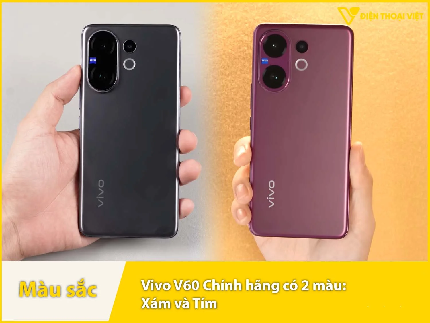 Vivo V60 cung cấp 2 màu: Xám và Tím