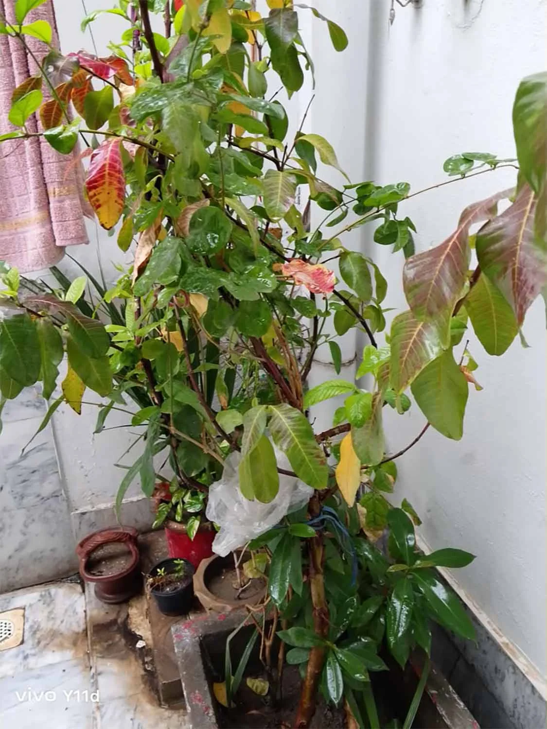 Ảnh đủ sáng