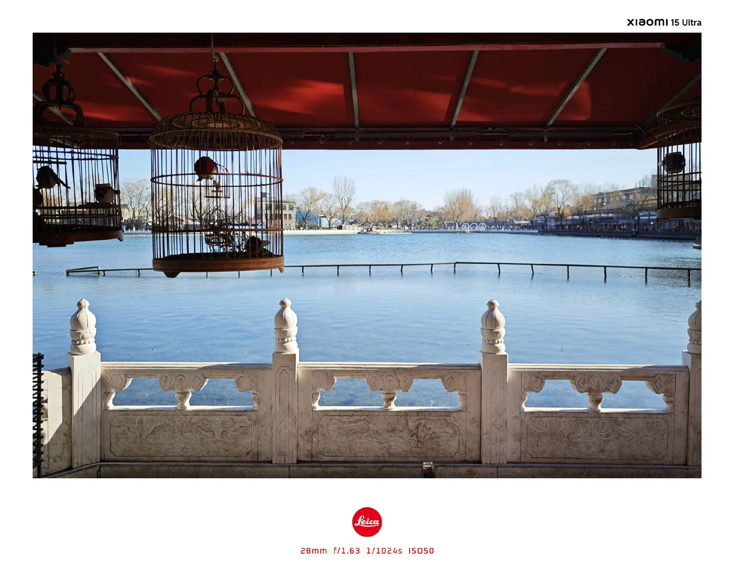 Ảnh ngược sáng