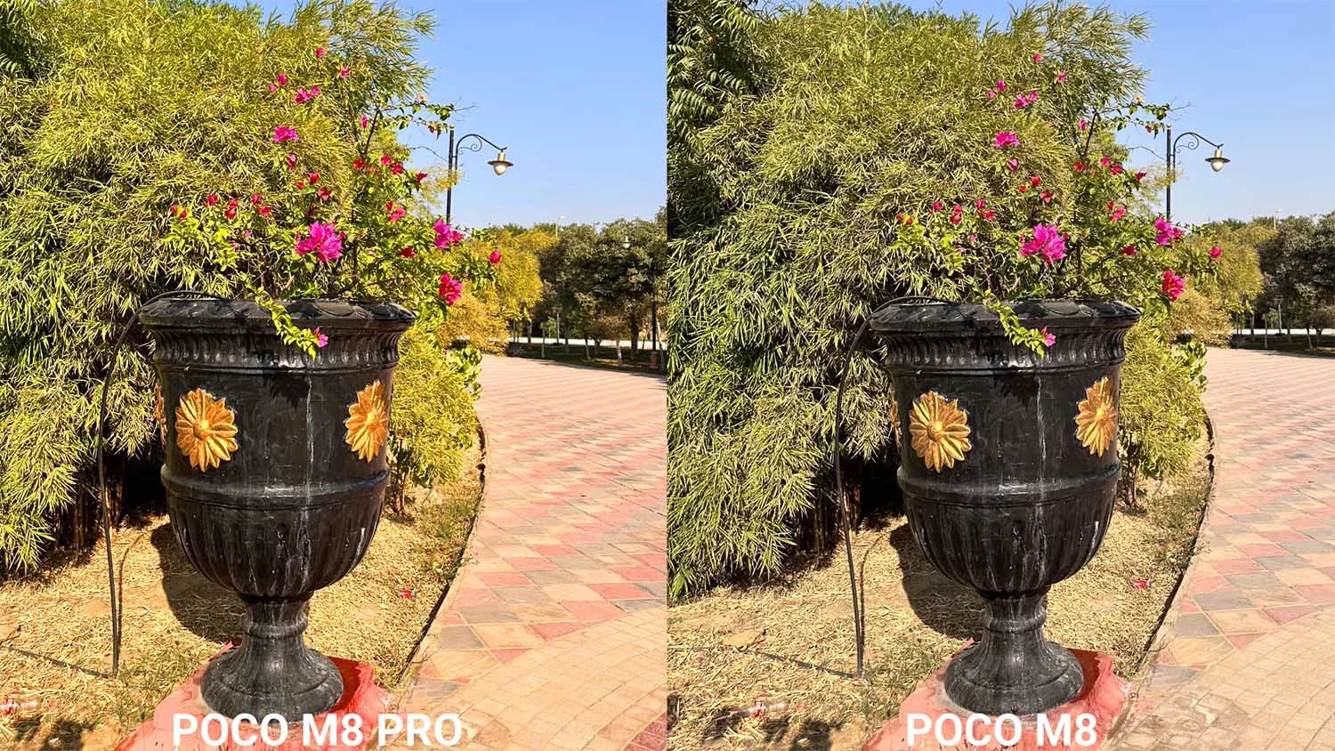 Ảnh chụp zoom 2x so với bản Pro