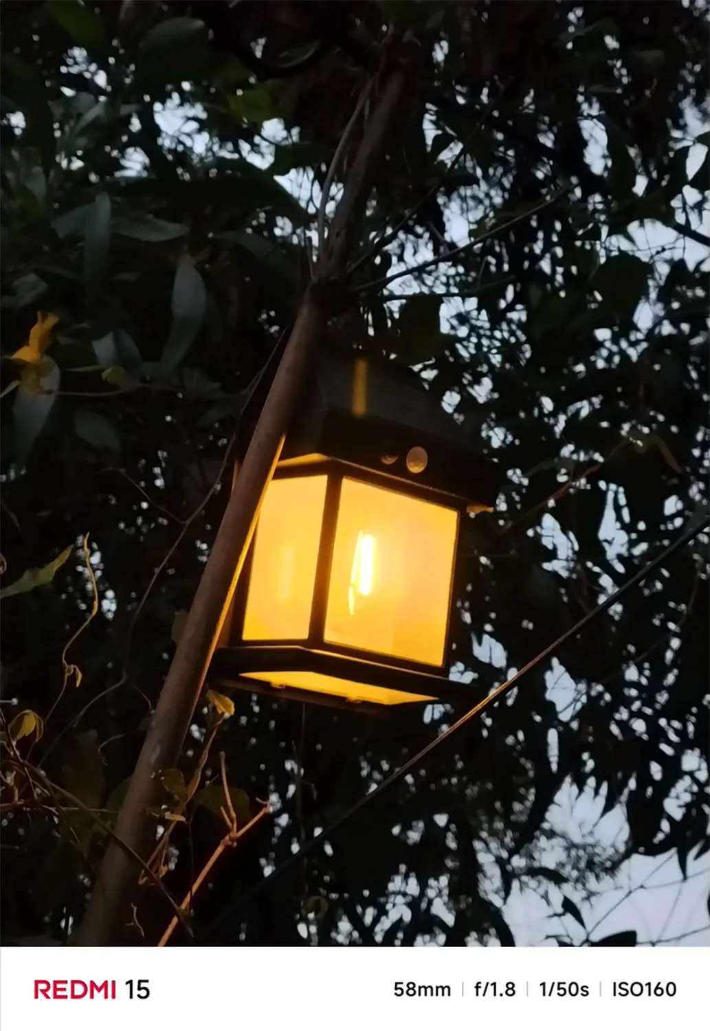 Ảnh thiếu sáng 2x