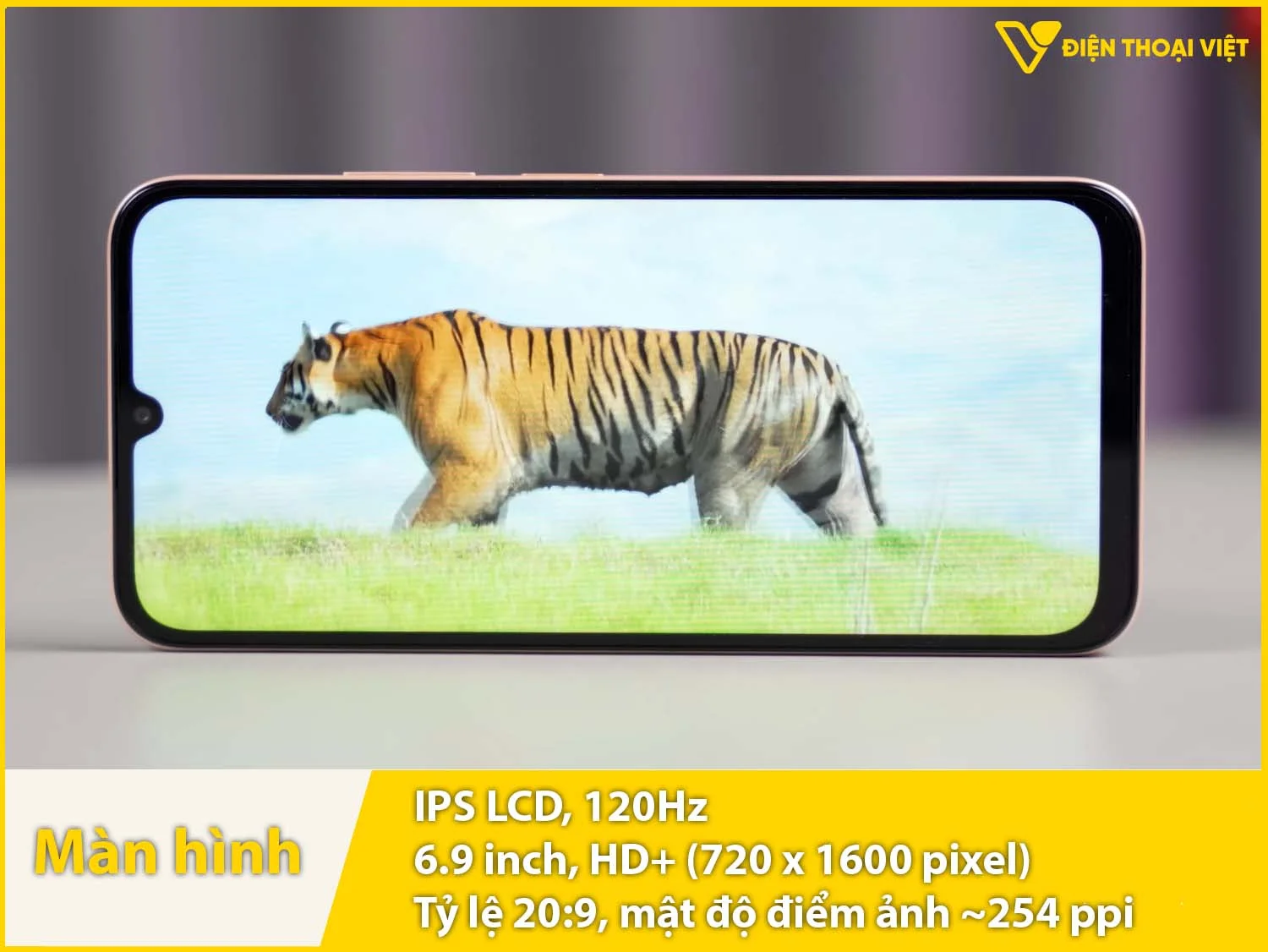 Màn hình 6,9 inch, LCD 120Hz