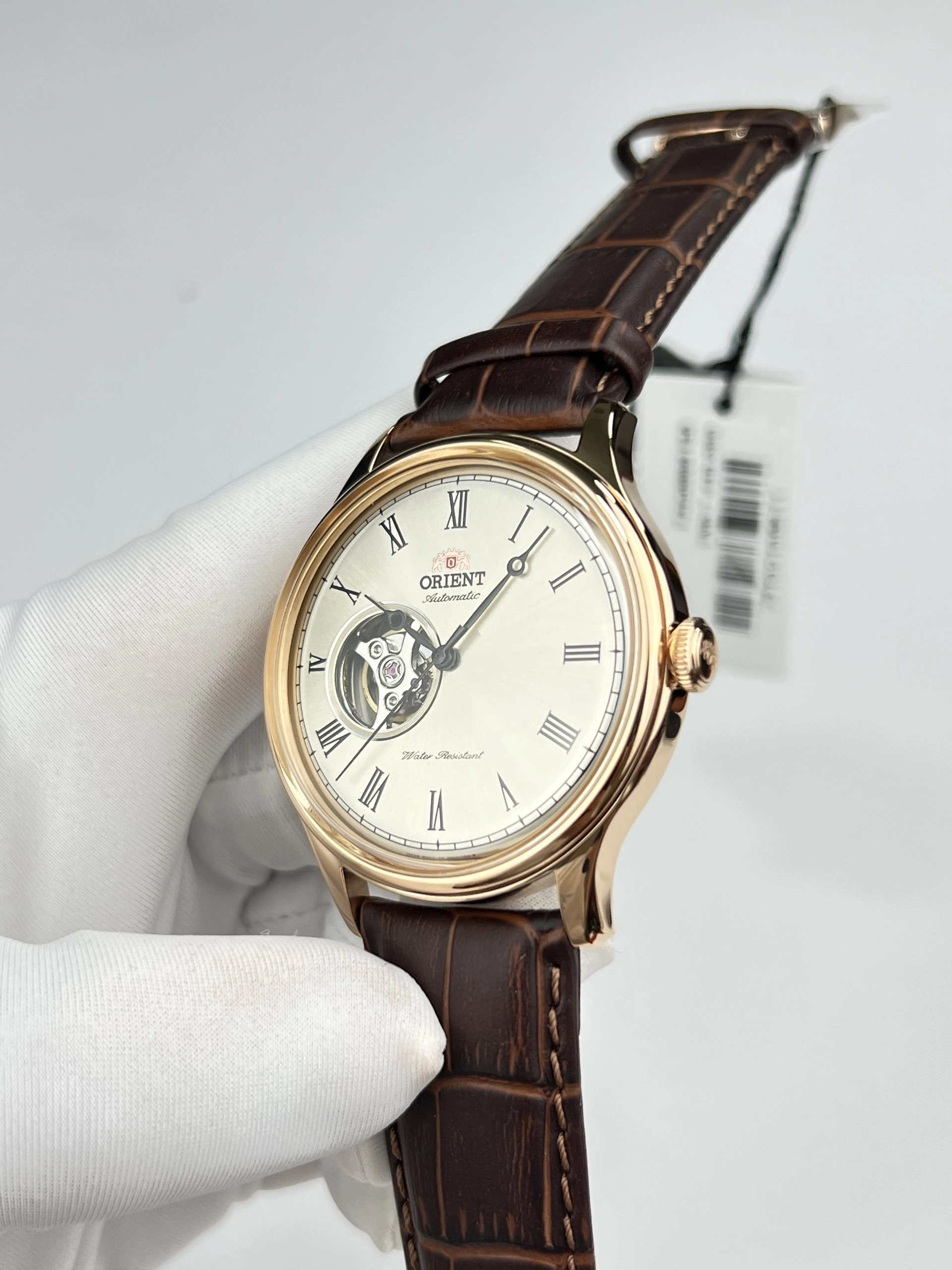 22-0691a0c6-b614-4e09-9d06-106484842bd5