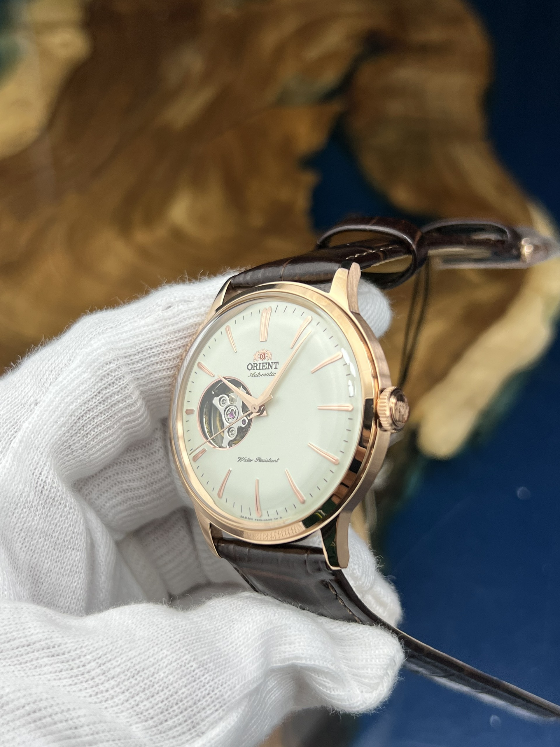 22-4207dc58-e60a-40cc-8013-4f7fbdbcb811