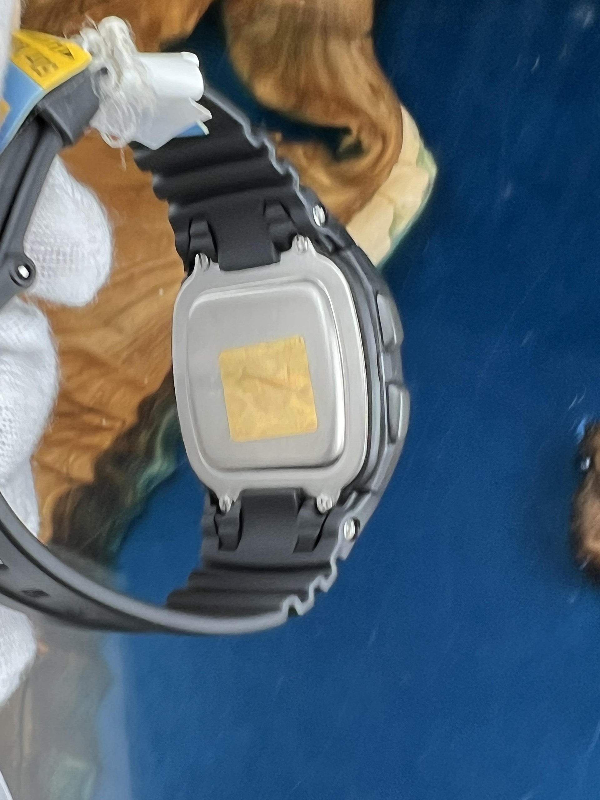 4-b712d333-a6e2-46fa-8d68-9a6863d1e486-c792ba20-3546-4205-9e2f-1adffe56a31e