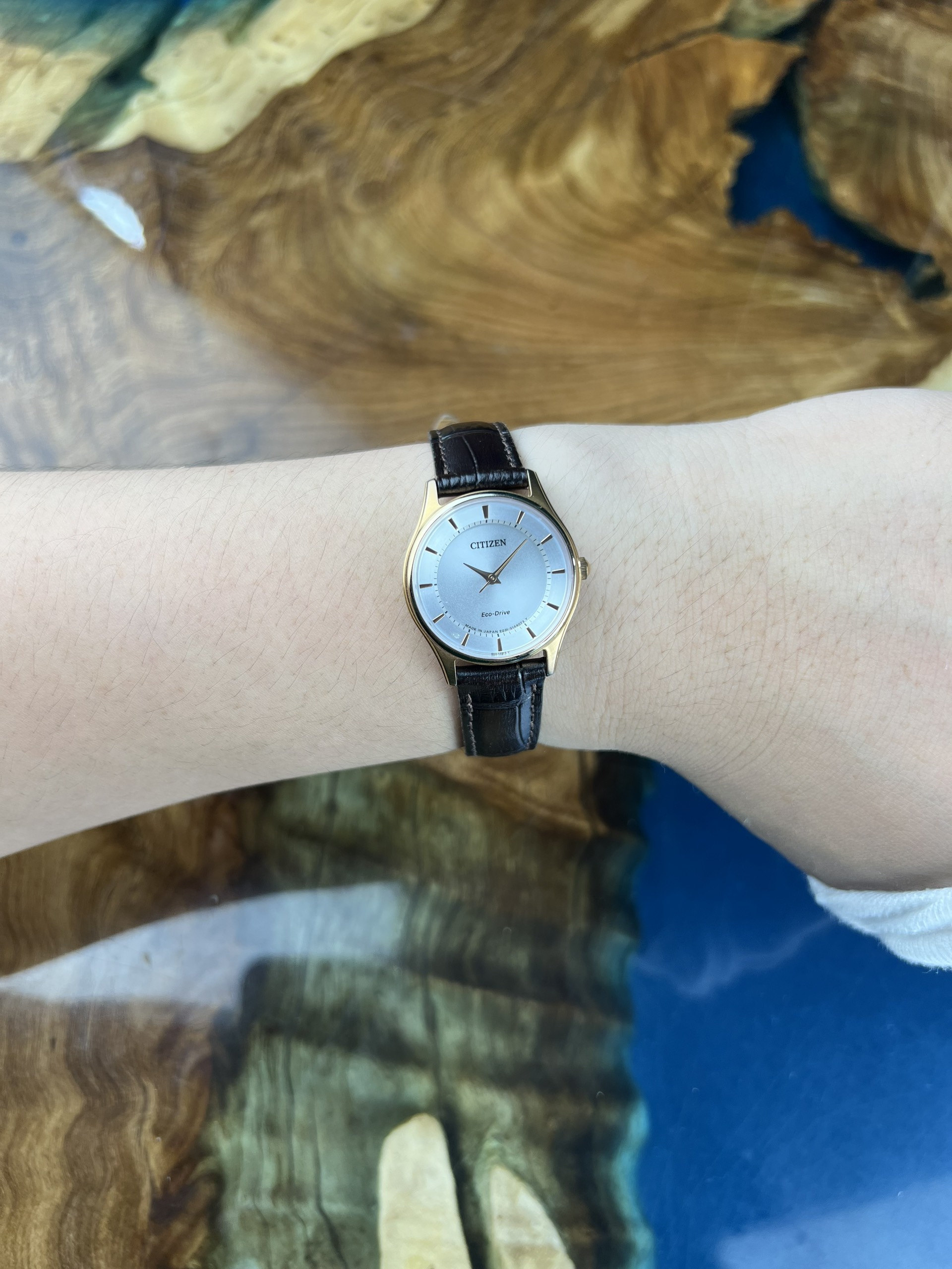 5-0b982f76-3e99-4f01-9f6b-af627ede3cab