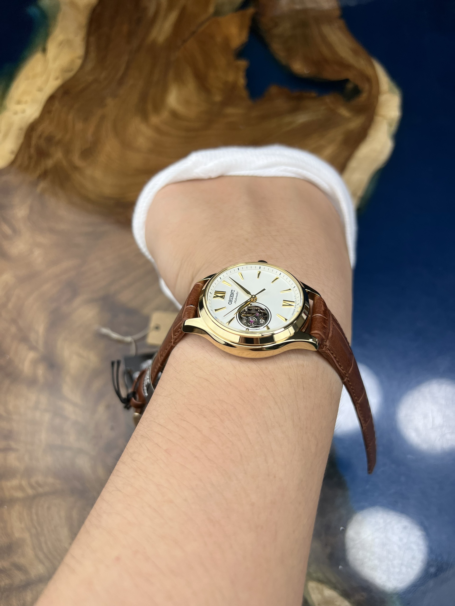 5-348d9254-eadf-442d-afff-41f527023b73