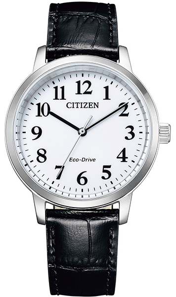 citizen-eco-drive-e031-s125910