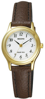 reguno-solar-rs26-0031c-a397a6d1-2cd7-449c-8b7c-531a6e717018