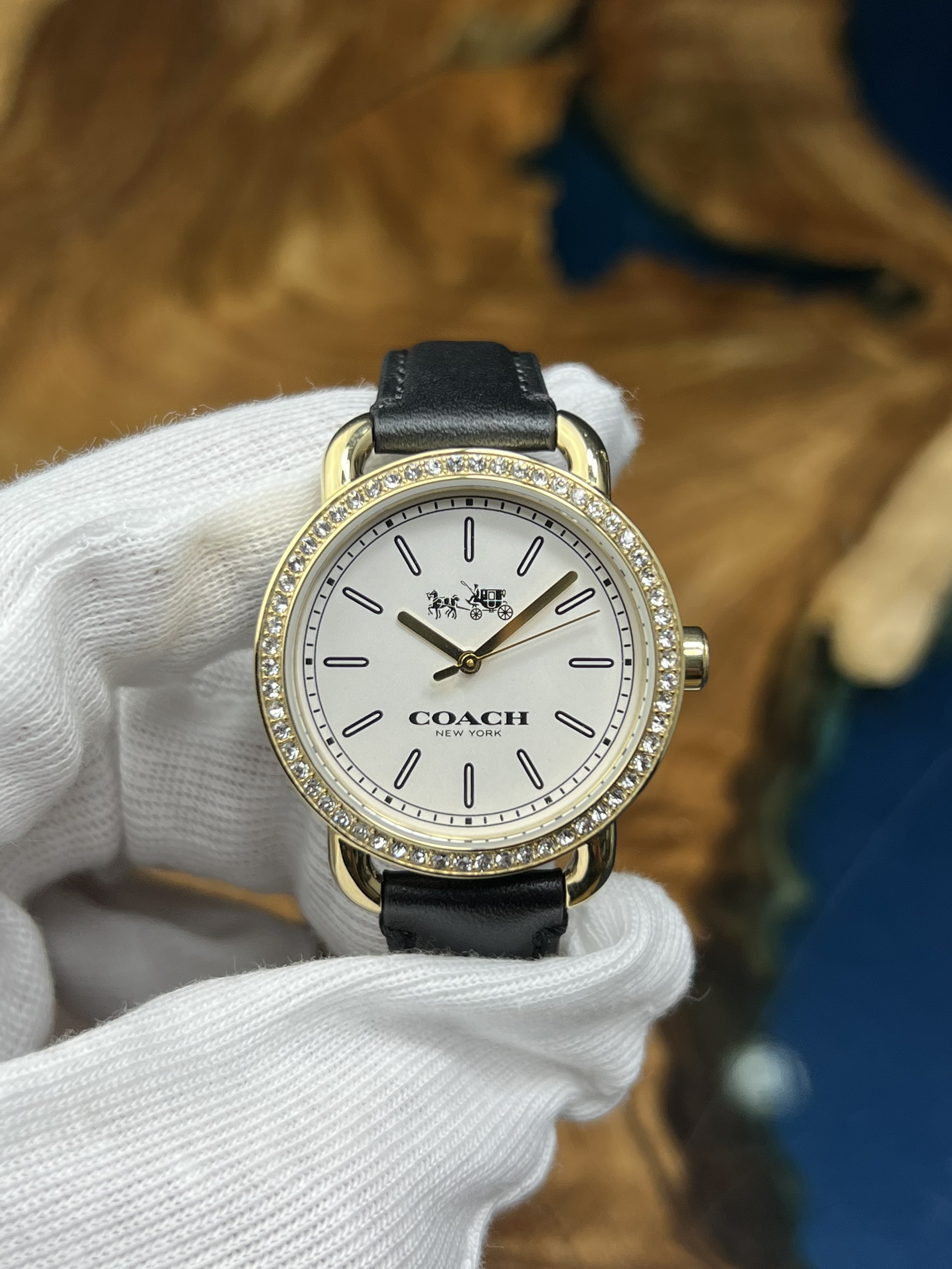 z4344038335640-14592c55fb5fcbb568b54a480eadd2b6