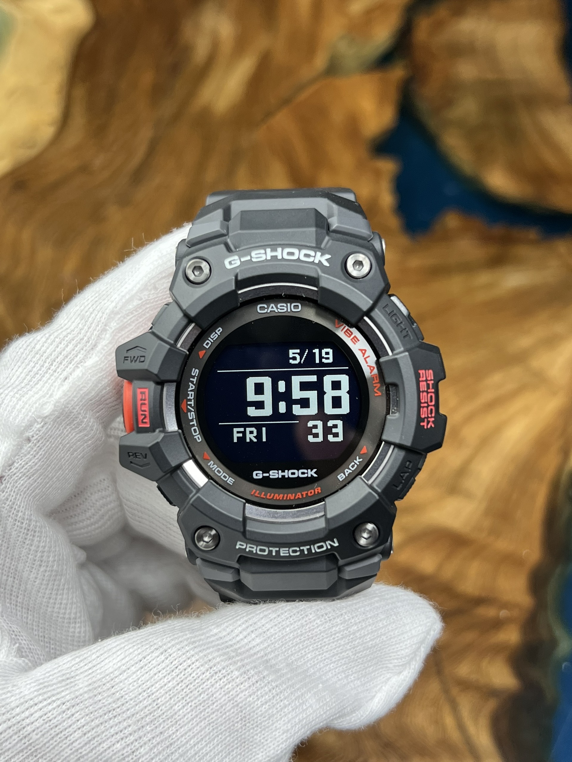 z4358113888645-d14ab1b2a7e8024966160856b143c6ab