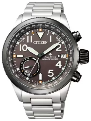 citizen-cc3064-86e-dbf10b34-2c4e-45e2-82ac-57f0281621a3-71be0087-ee48-477d-b5aa-b19c3857a230