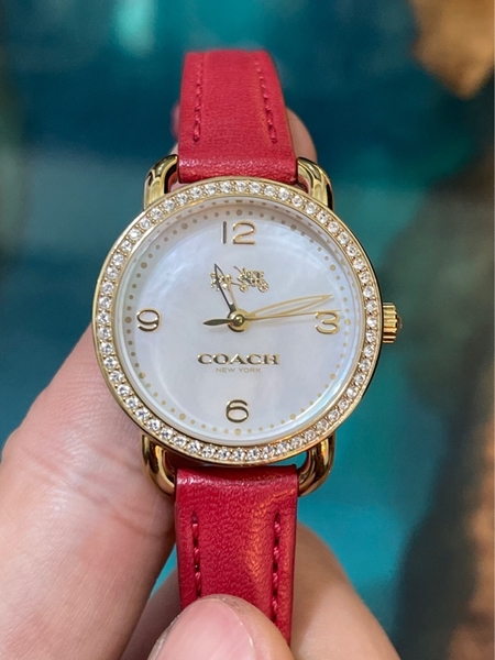 ffb6069d-9dfe-4a23-8425-acdecd0c6697