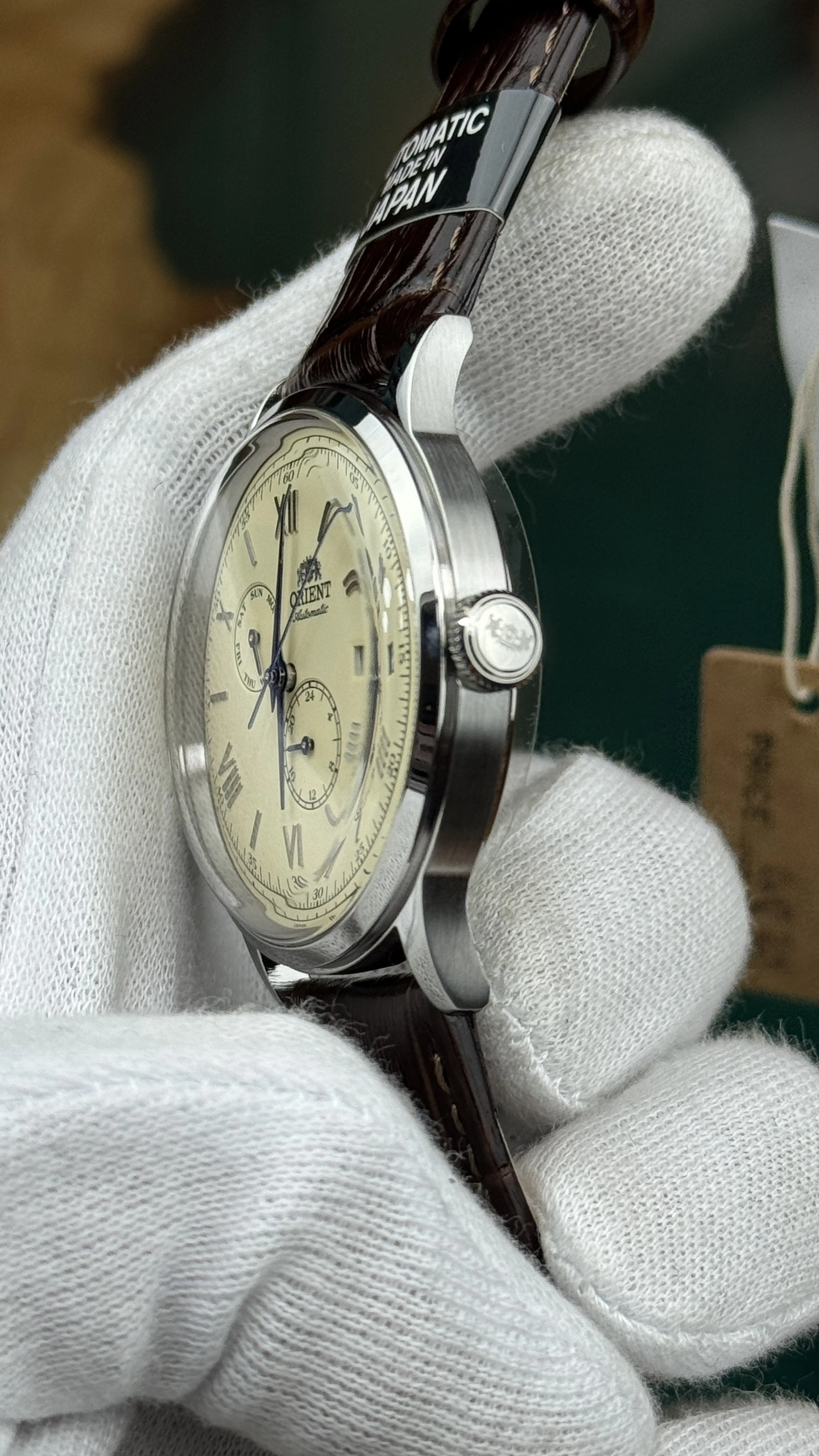 z5196975371719-dbfbe6e8f1a44eaa7469e02f00be9e4b