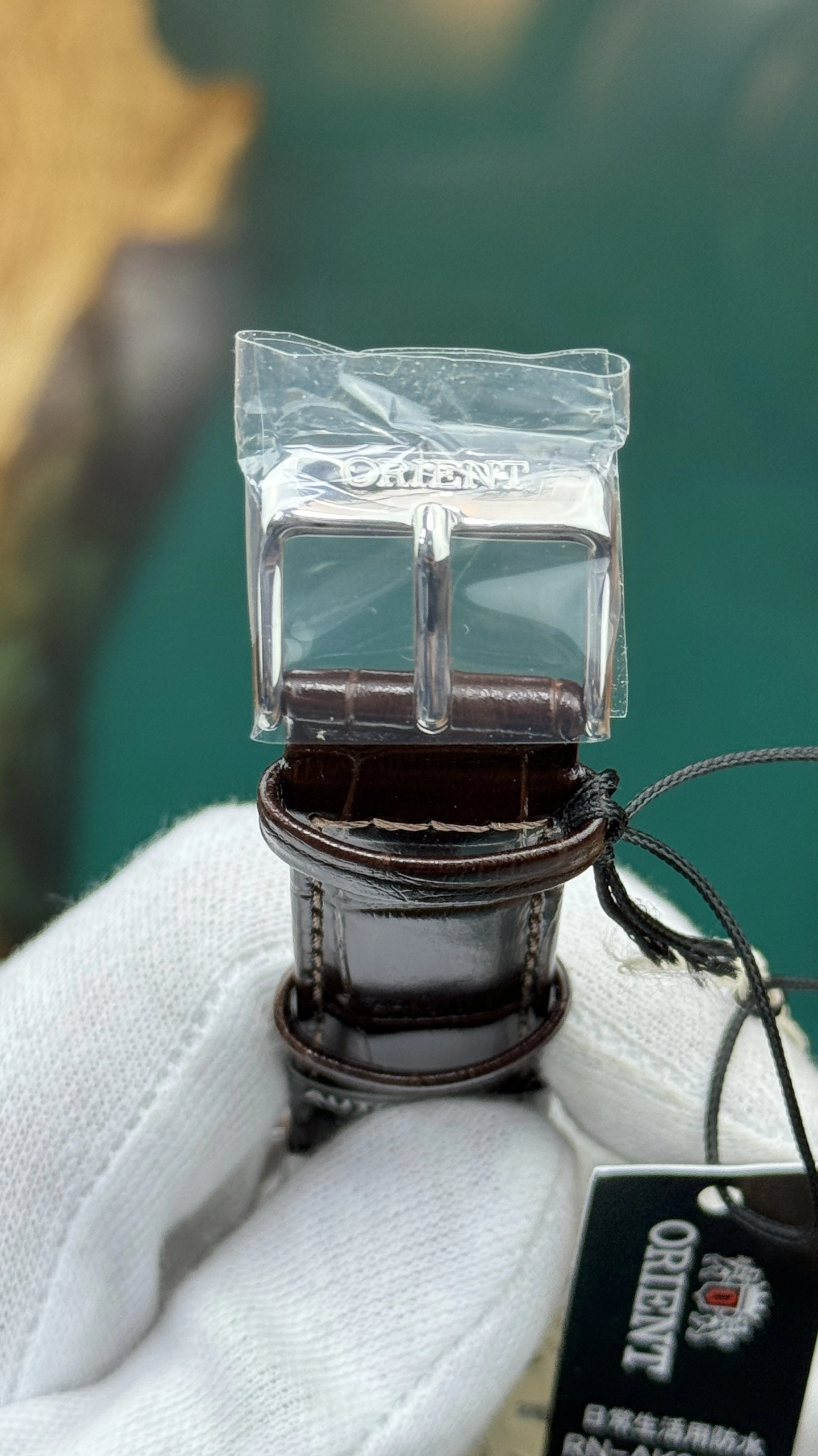 z5196975382104-2f24f862a7d9d0a13f3beced24be8f28