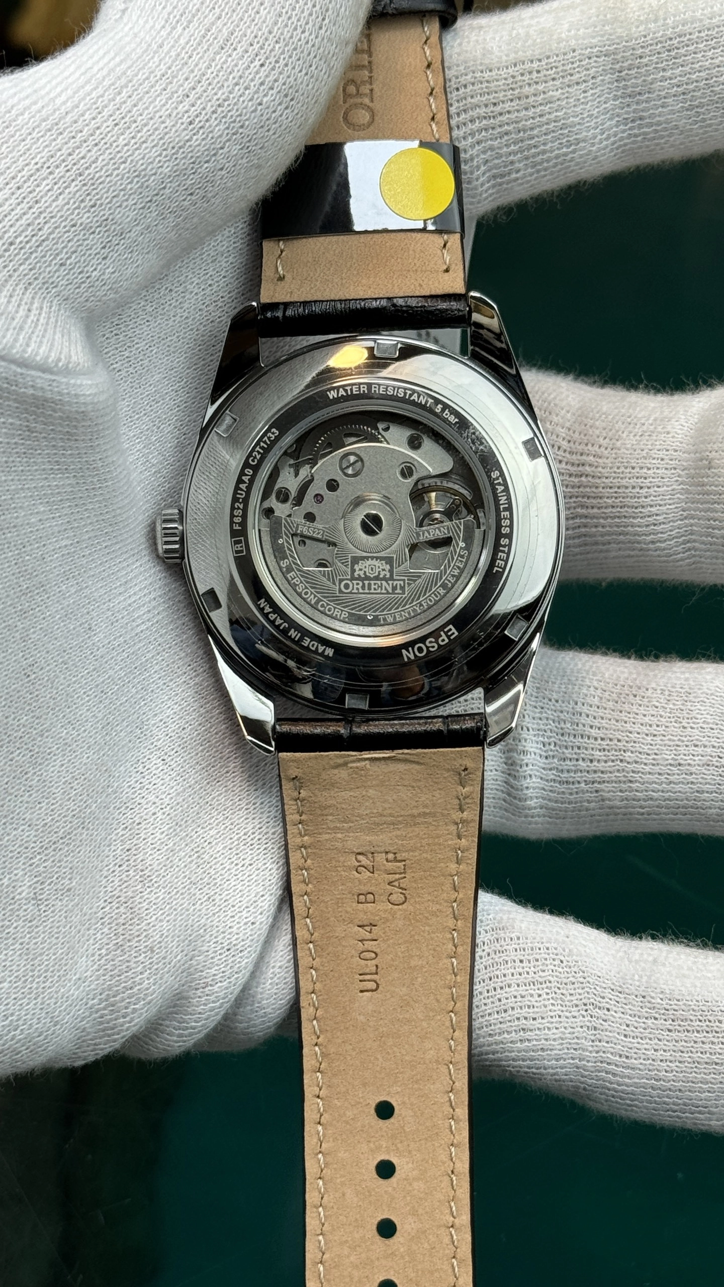 z5197016174018-1fe4abfe4a17577cfc66afde74e474cb